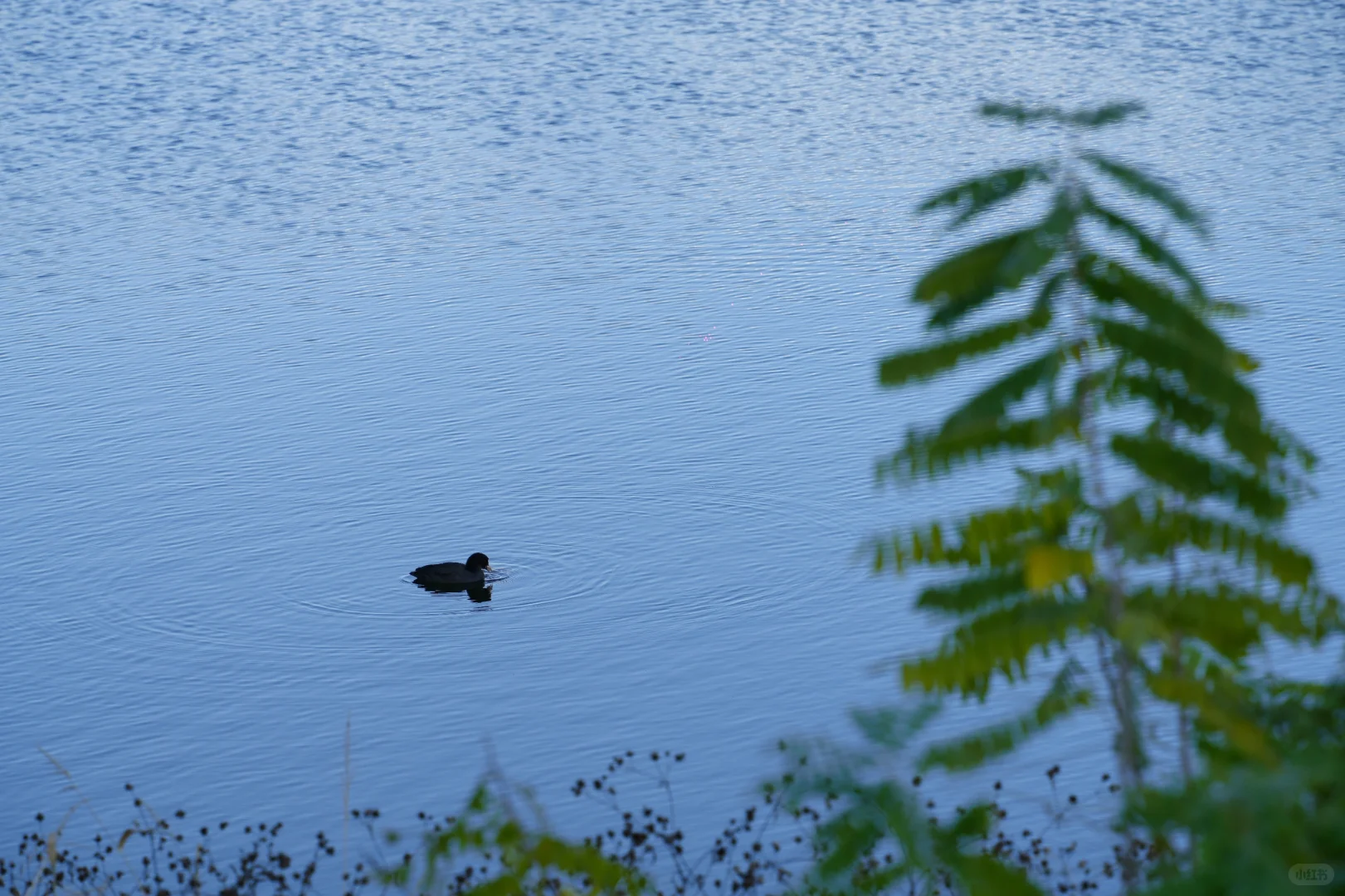 体力 脑力 心力