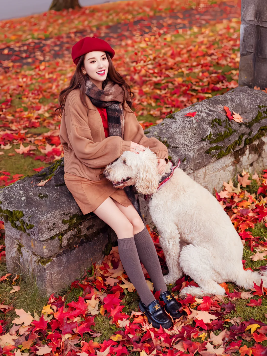 希望这个秋天，好运和枫叶一样不期而至🍁