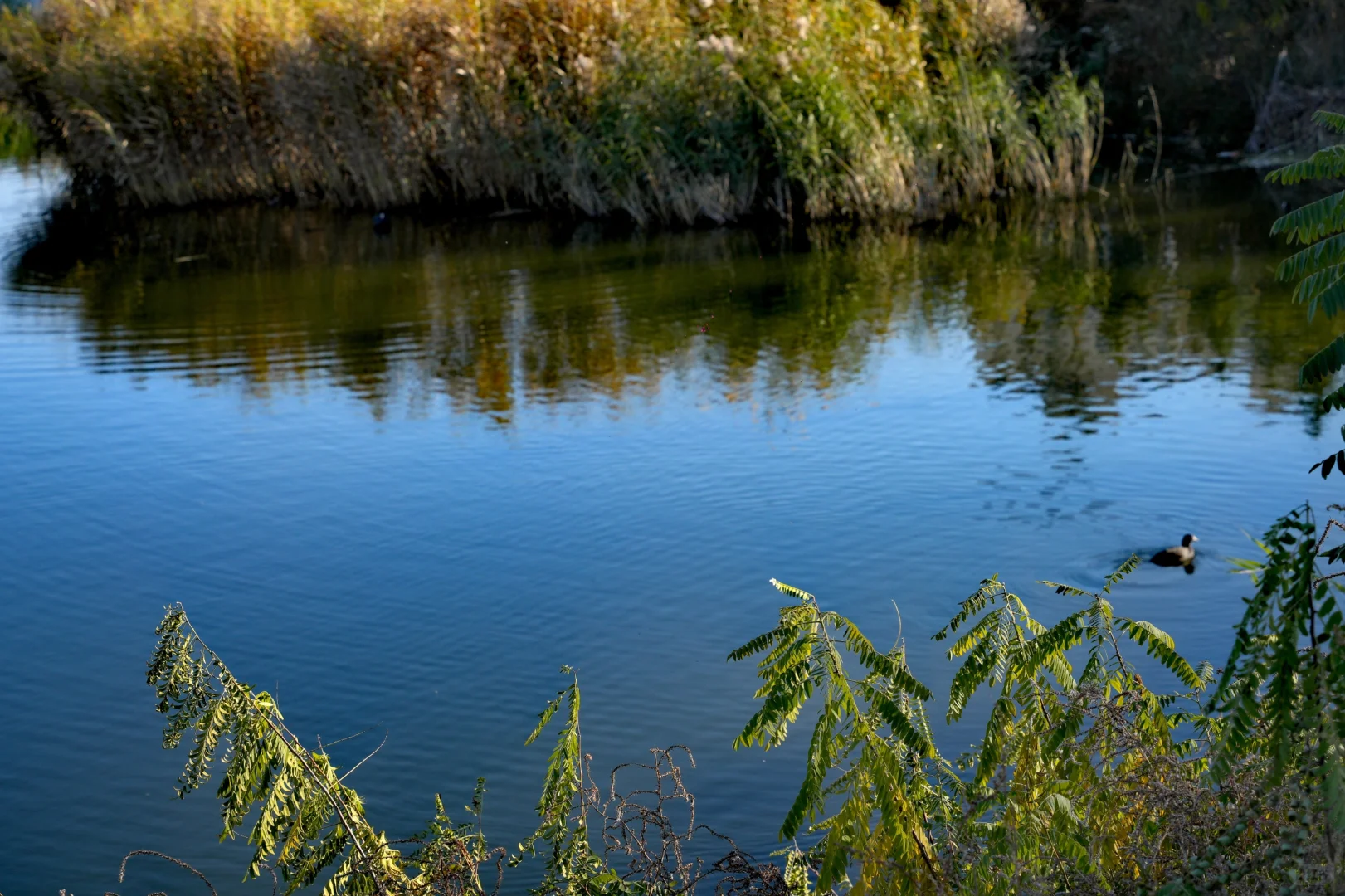 体力 脑力 心力