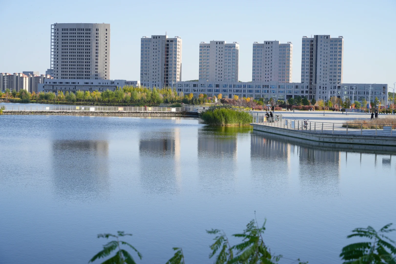 体力 脑力 心力