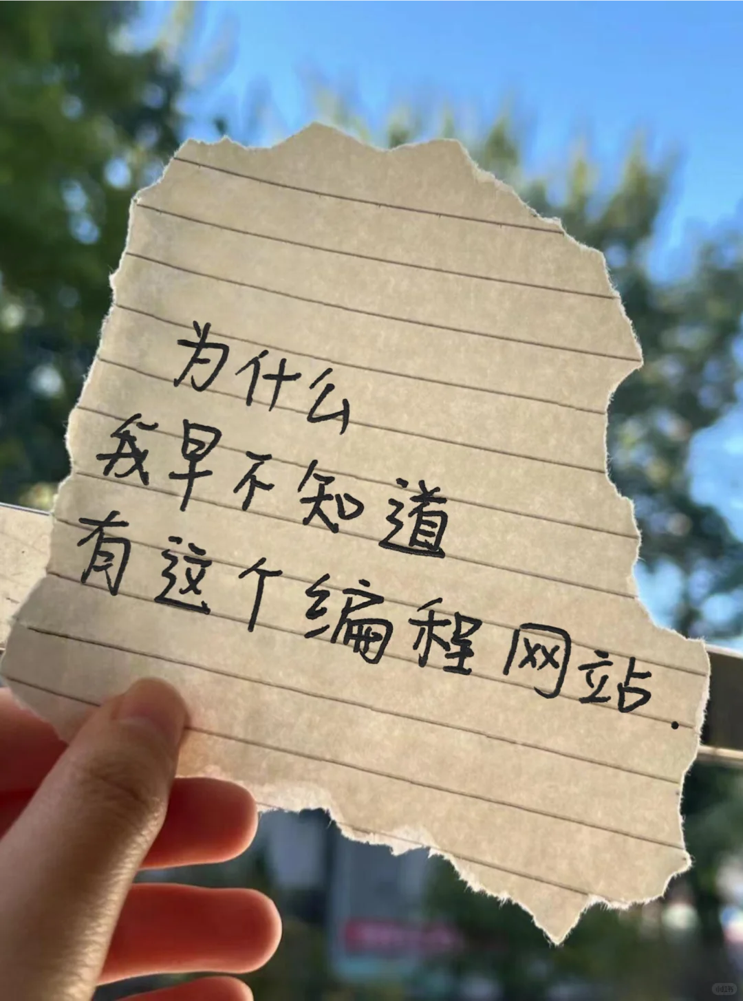 为什么不早不知道这个编程网站！！！