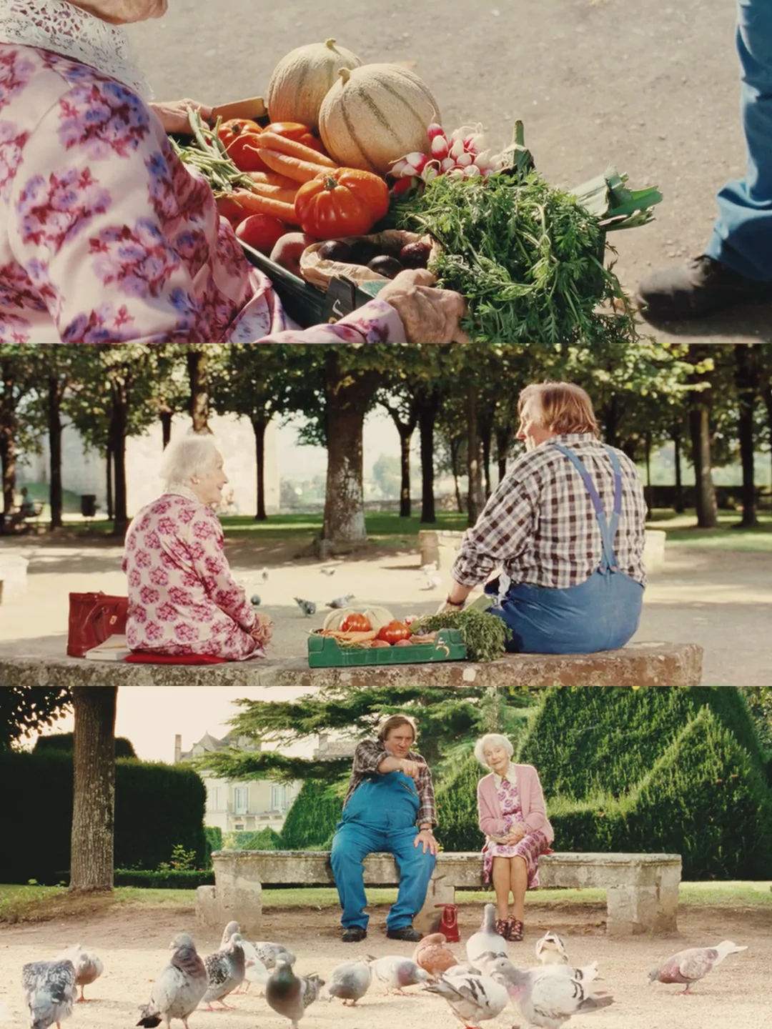 竟然9.9分了👏不愧是治愈神作😭