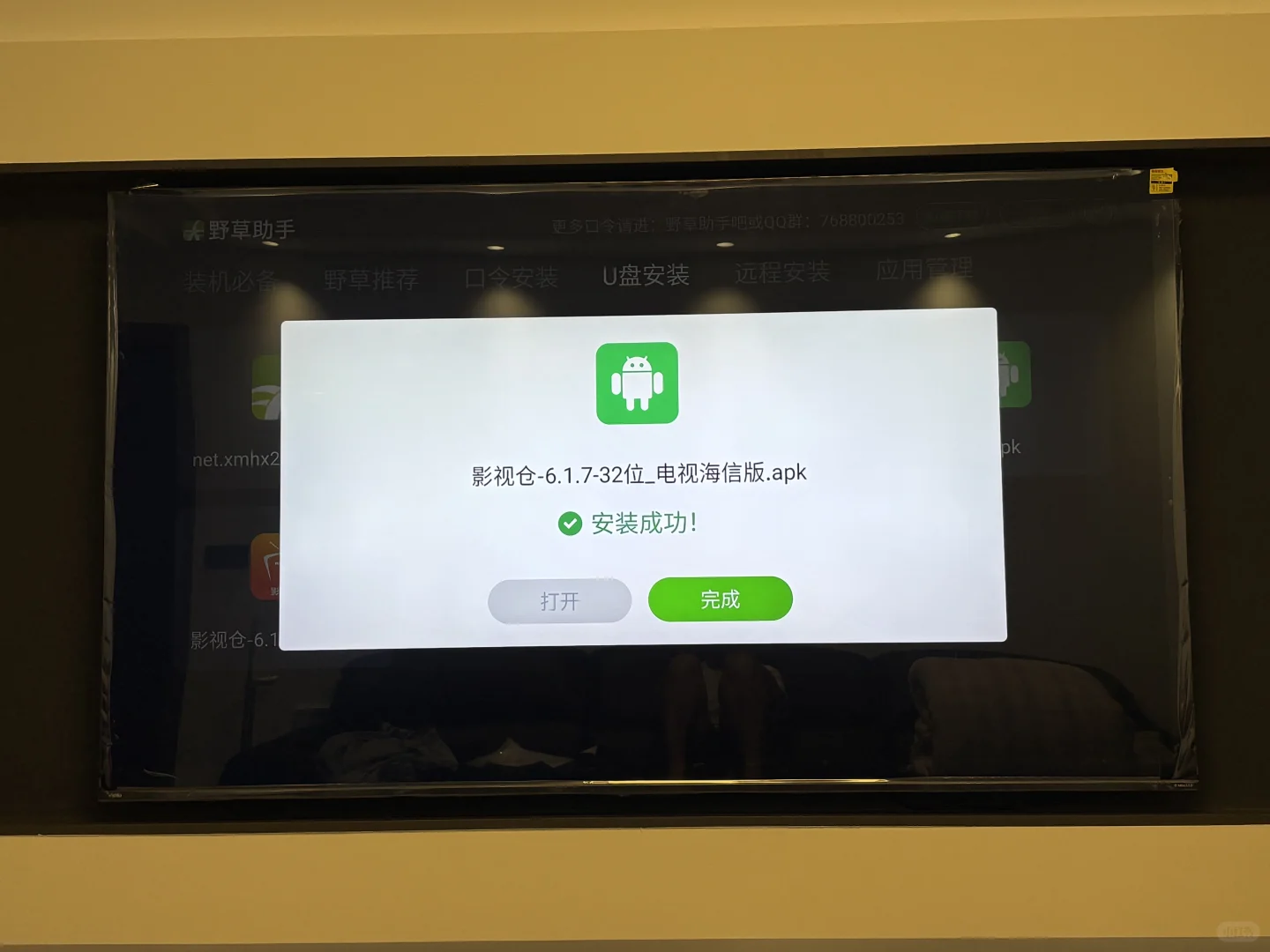 野草助手真牛👍vidda电视