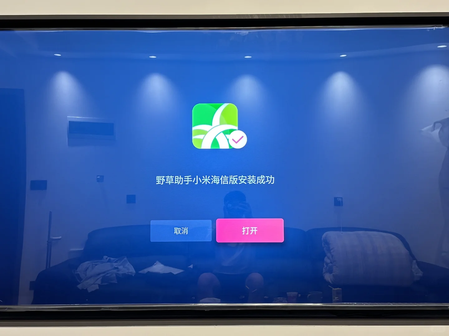 野草助手真牛👍vidda电视