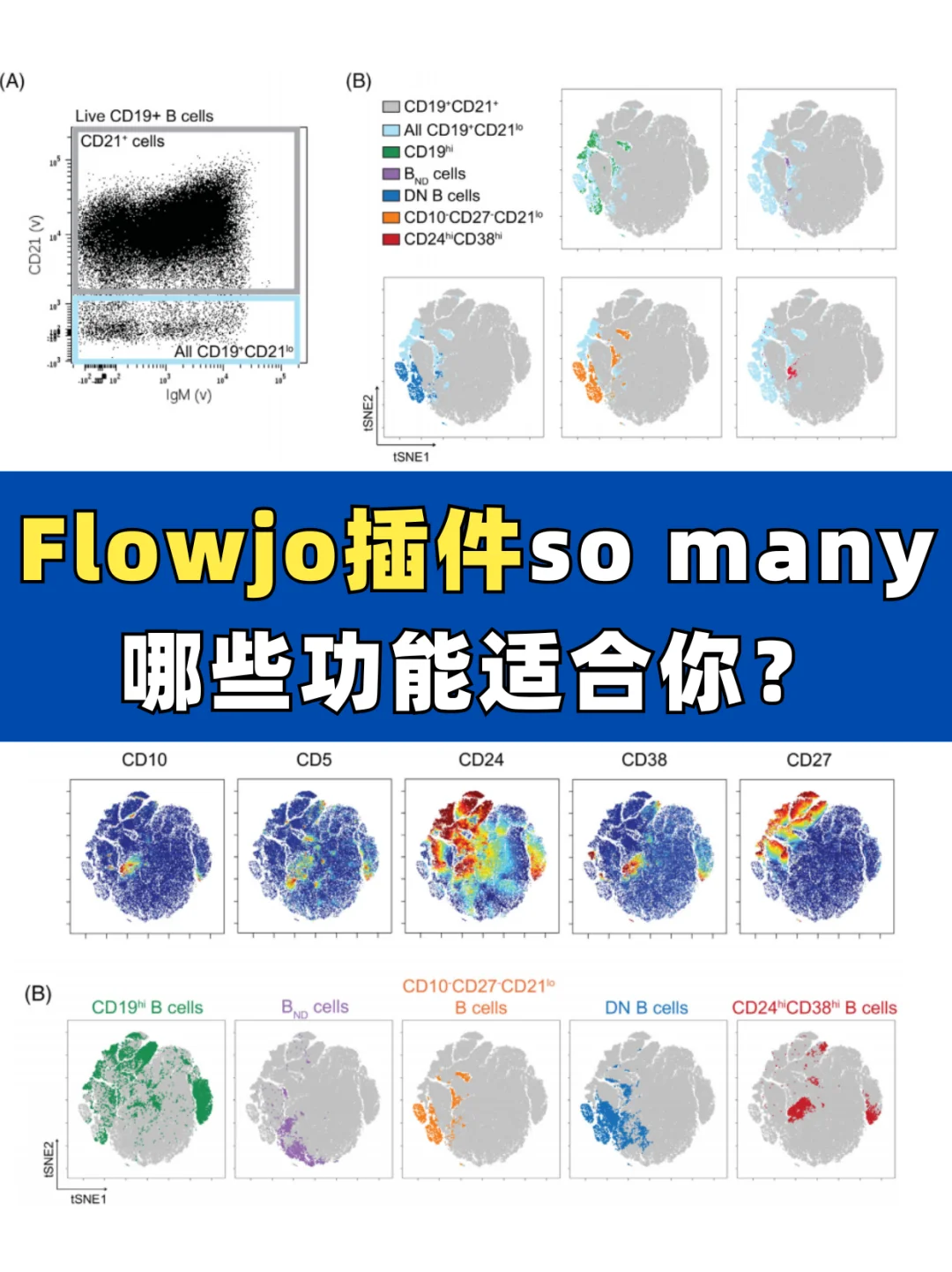 Flowjo插件太多不会选？3分钟教你找最适合