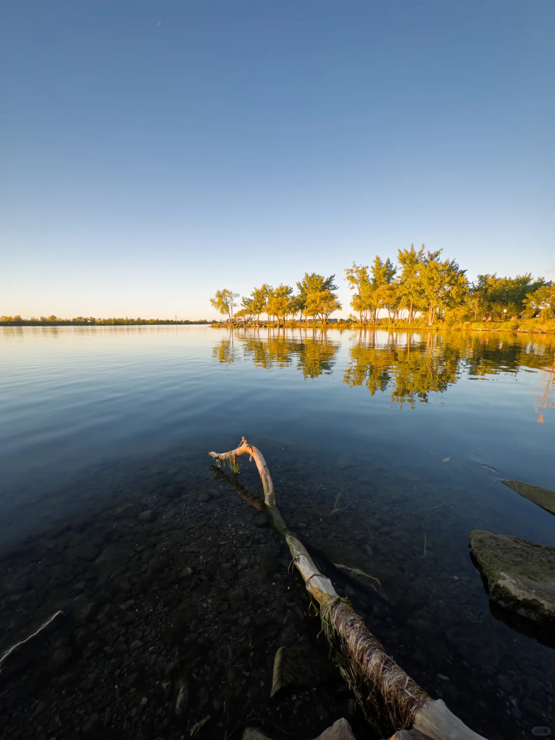 Project Indigo就是iPhone上最好的相机App