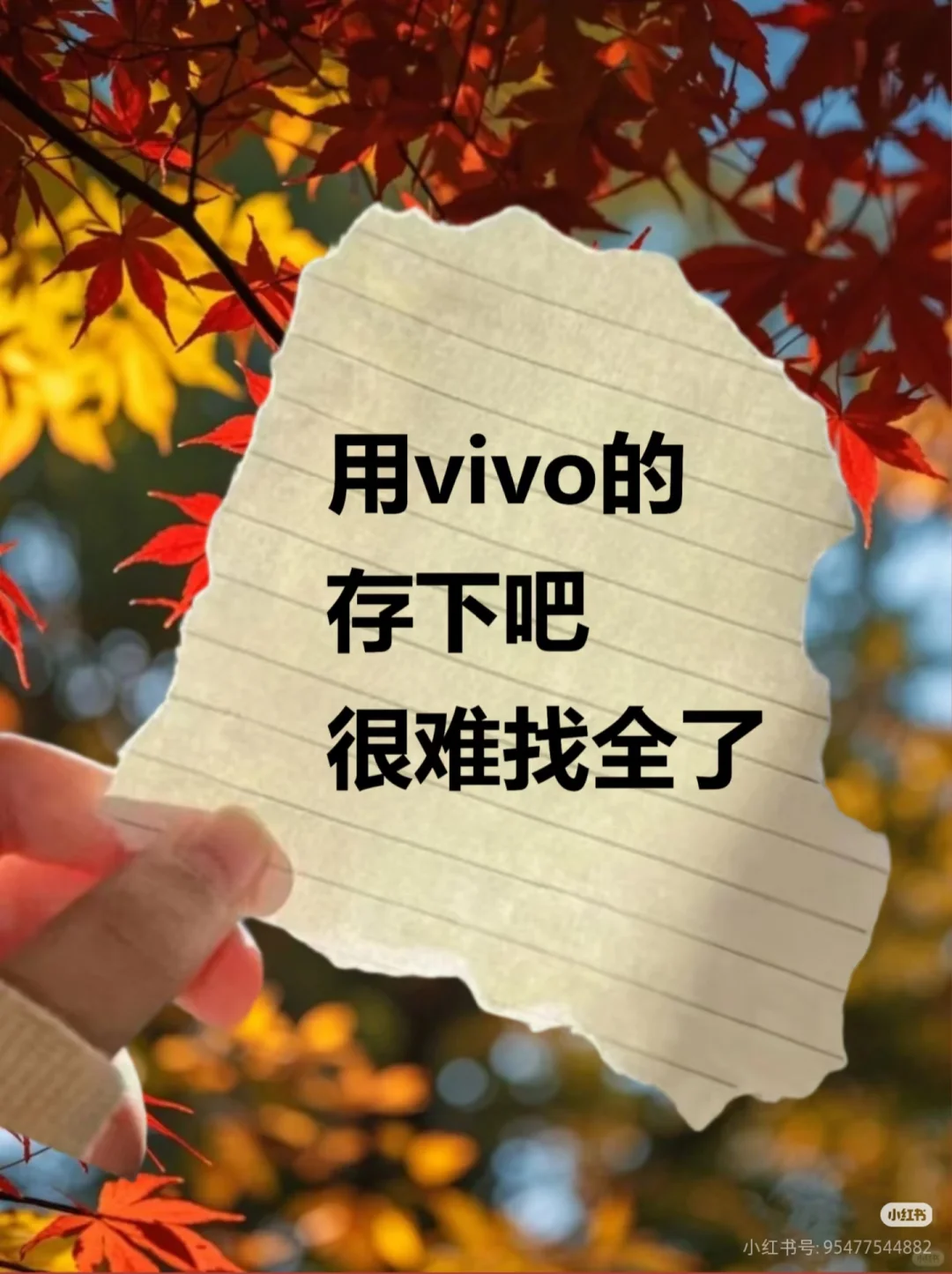 用 vivo 的存下吧，很难找全了！