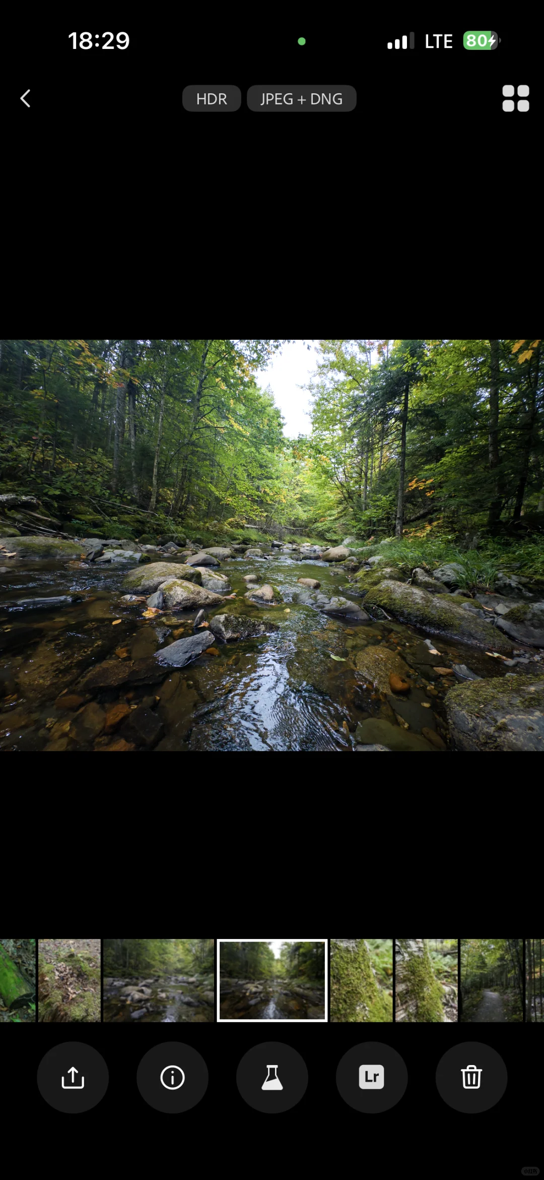 Project Indigo就是iPhone上最好的相机App