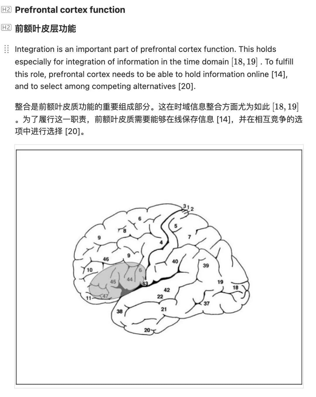Zotero自用翻译插件