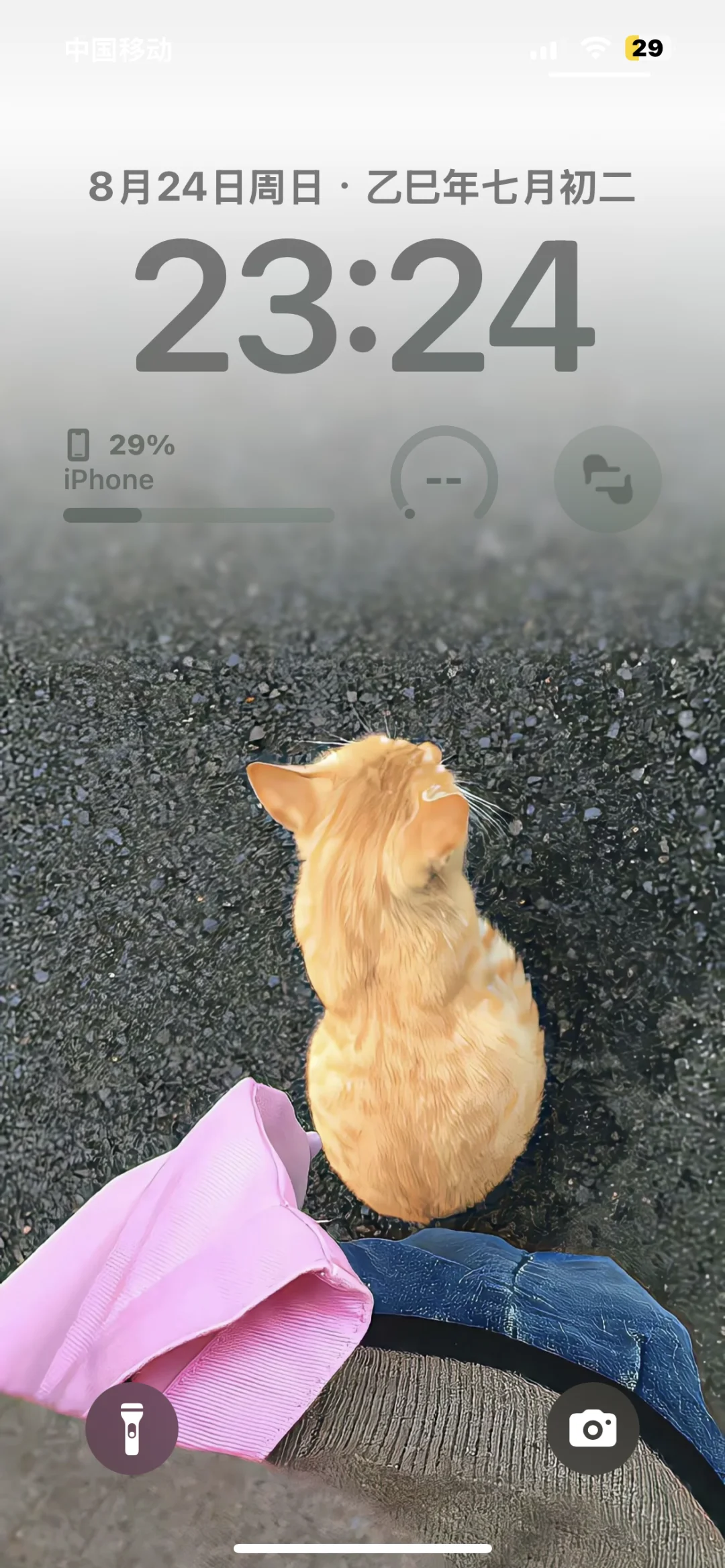 好喜欢我的苹果手机桌面！！！