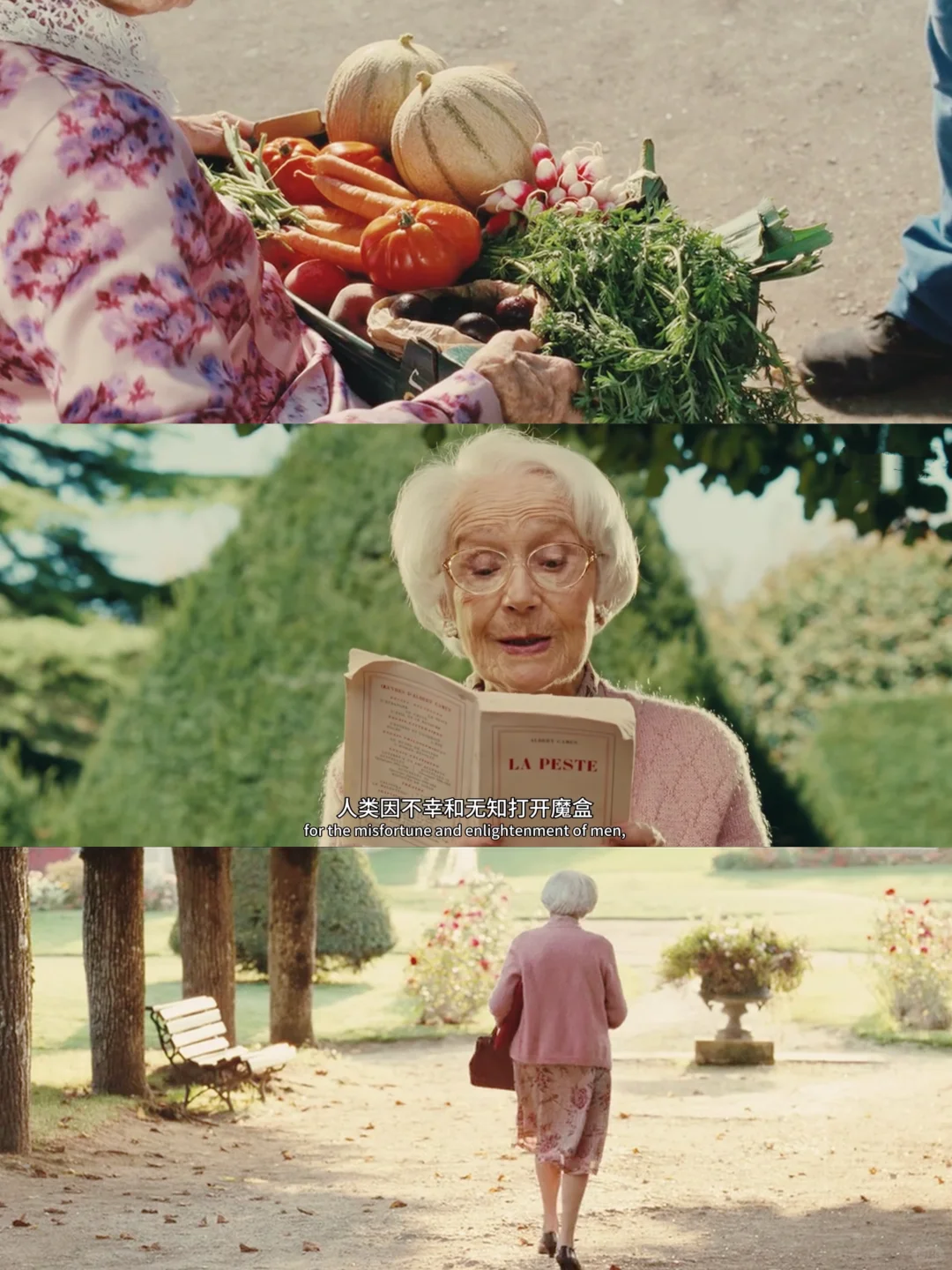 竟然9.9分了👏不愧是治愈神作😭