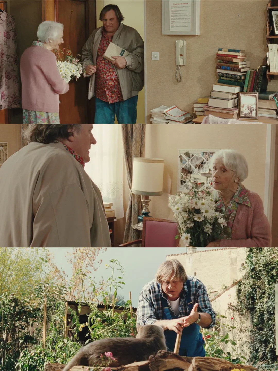 竟然9.9分了👏不愧是治愈神作😭