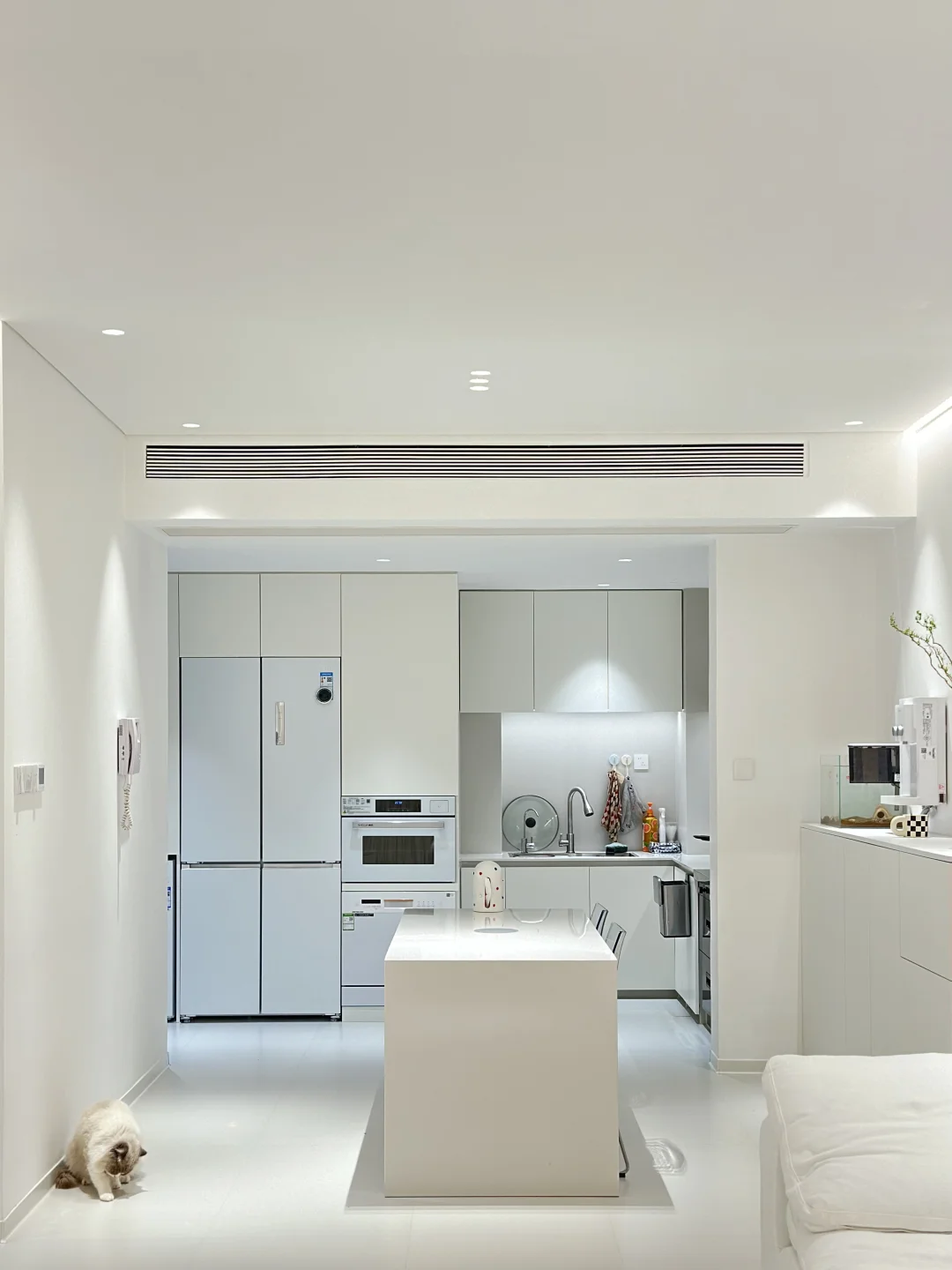 索尼大法好#索尼85X90L[话题]#