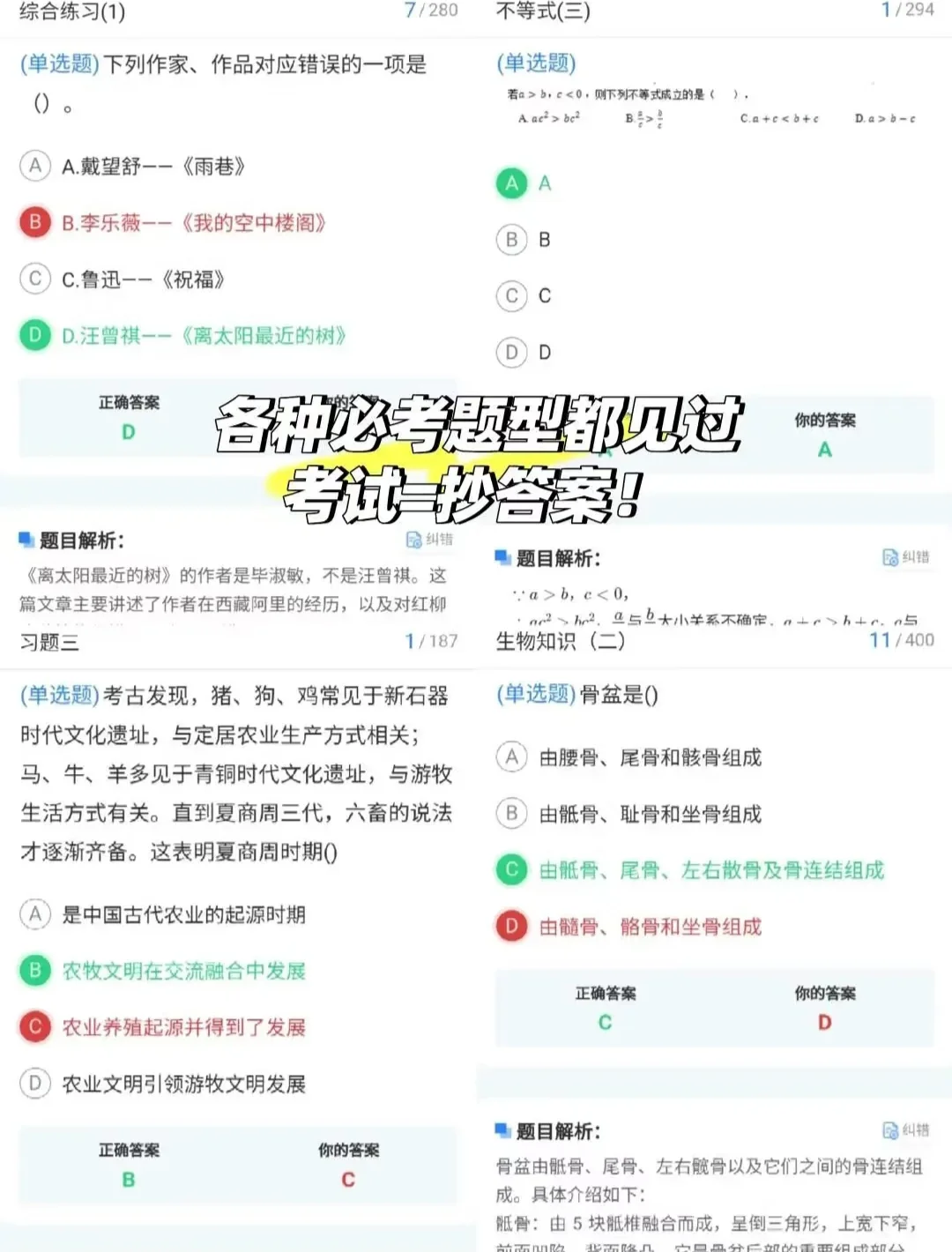 梨花香哪有河北单招上岸香