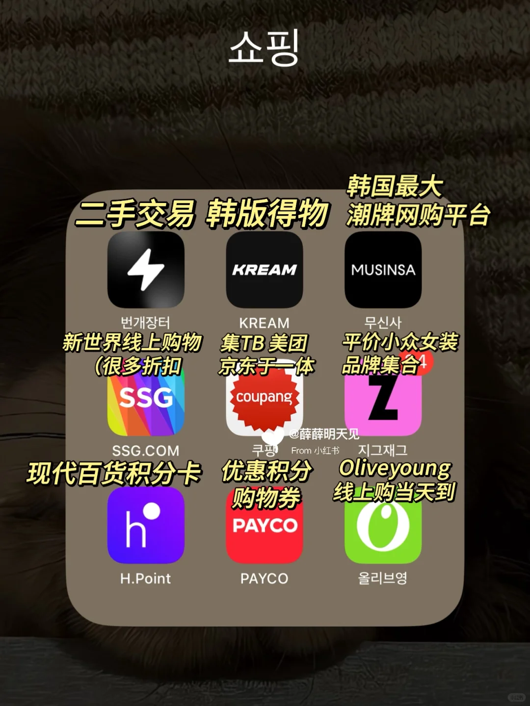 🇰🇷小韩留学必备App合集☝️留韩必装不踩坑