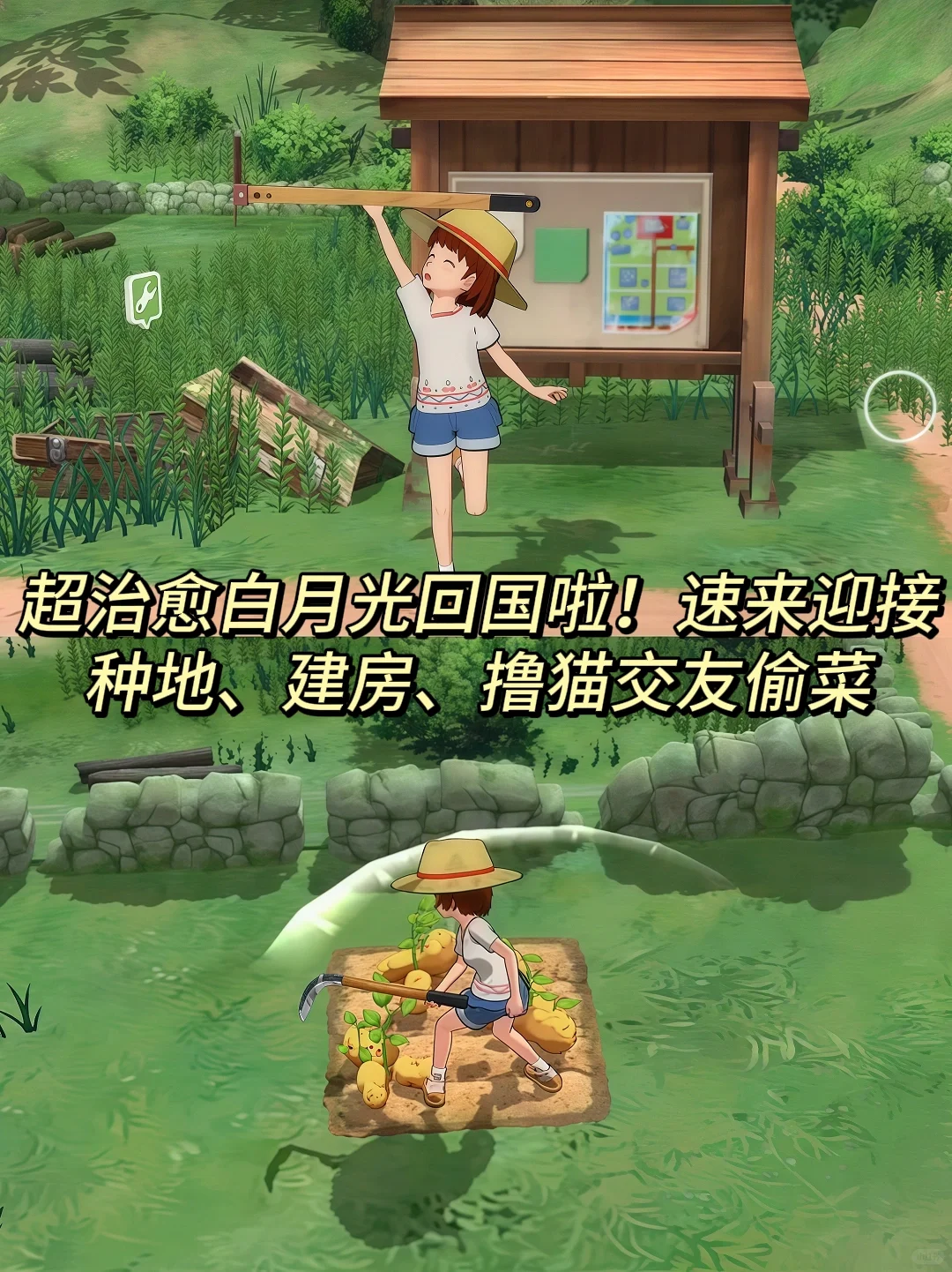 小森生活安卓下载，每次可以免费更新