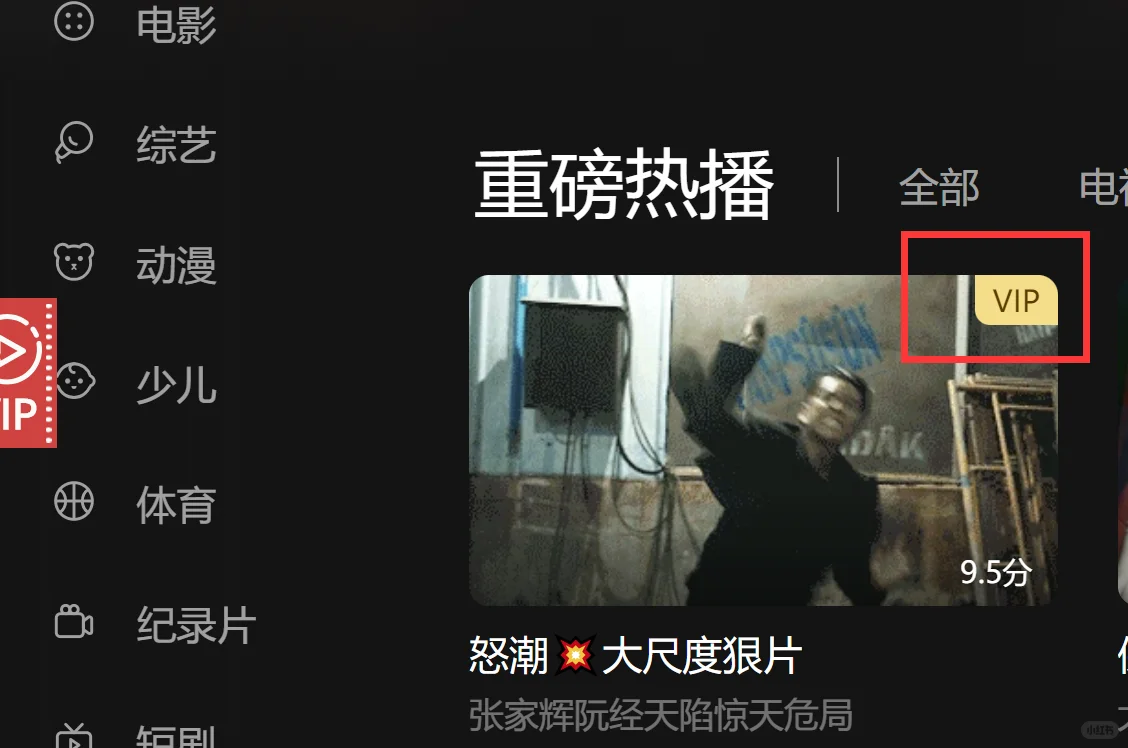 全网 VIP 视频免费看，破解去广告