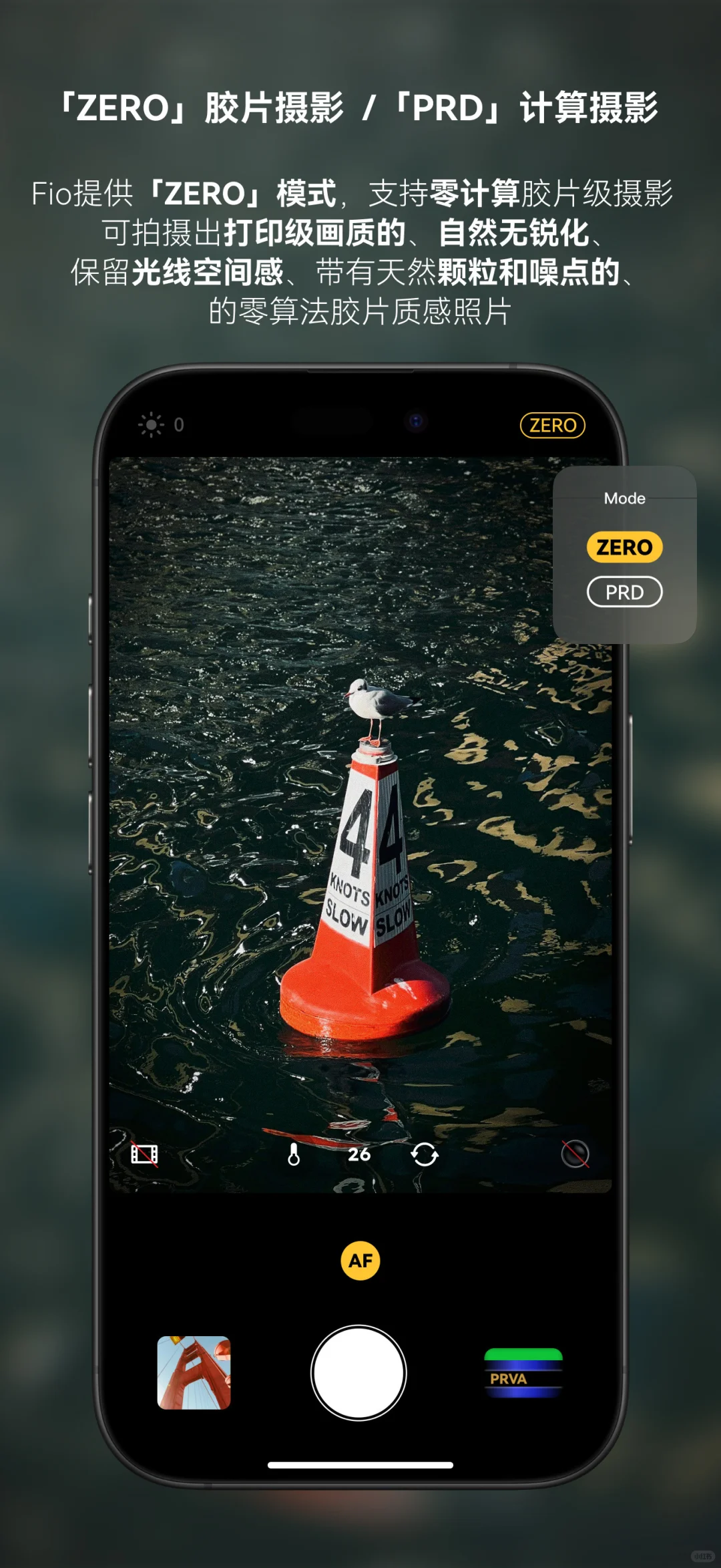 iPhone全新胶片相机App 「Fio相机」 上线！