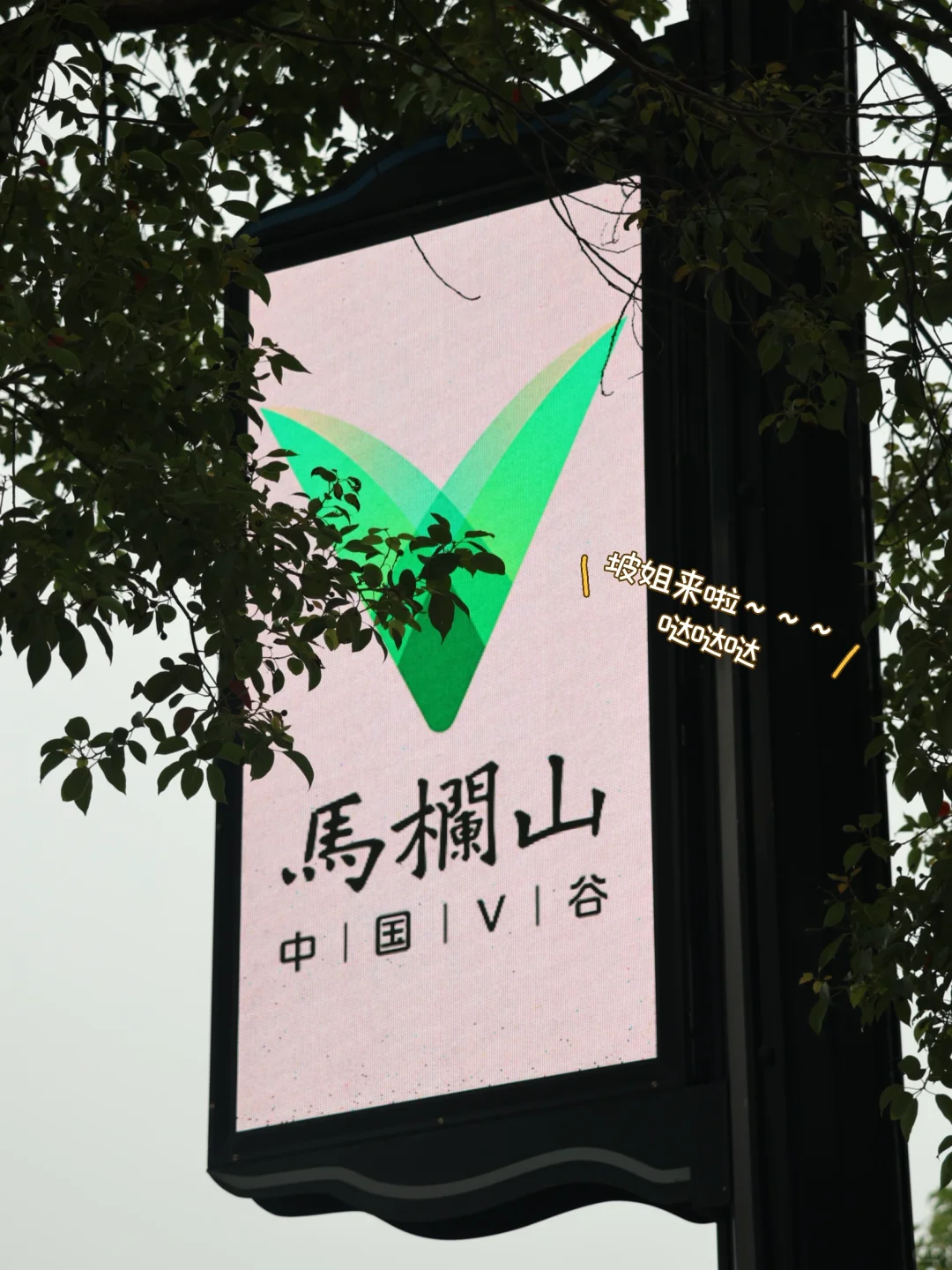 芒果TV湖南广电总局，打卡路线