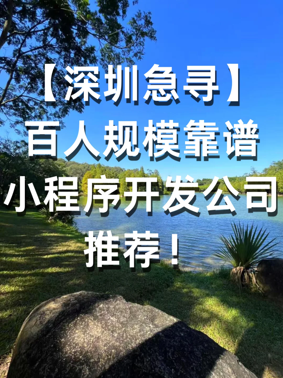 【深圳急寻】百人规模靠谱小程序开发公司推荐