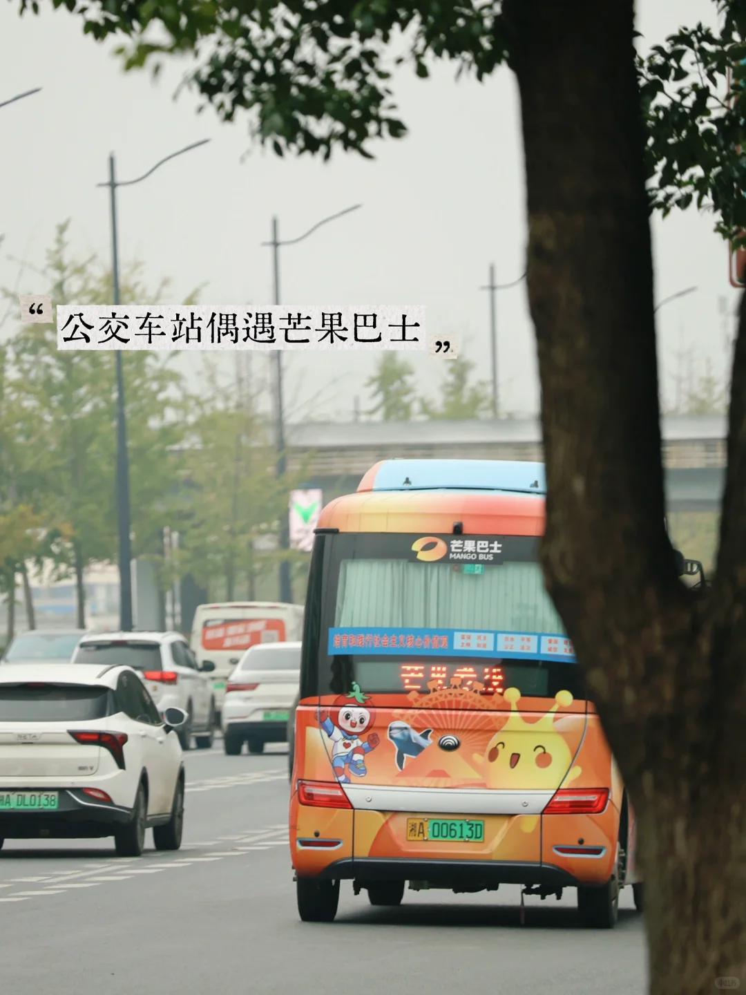 芒果TV湖南广电总局，打卡路线