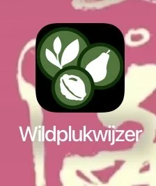 🇳🇱推荐一个超绝app（捡板栗🌰挖生蚝🦪必备