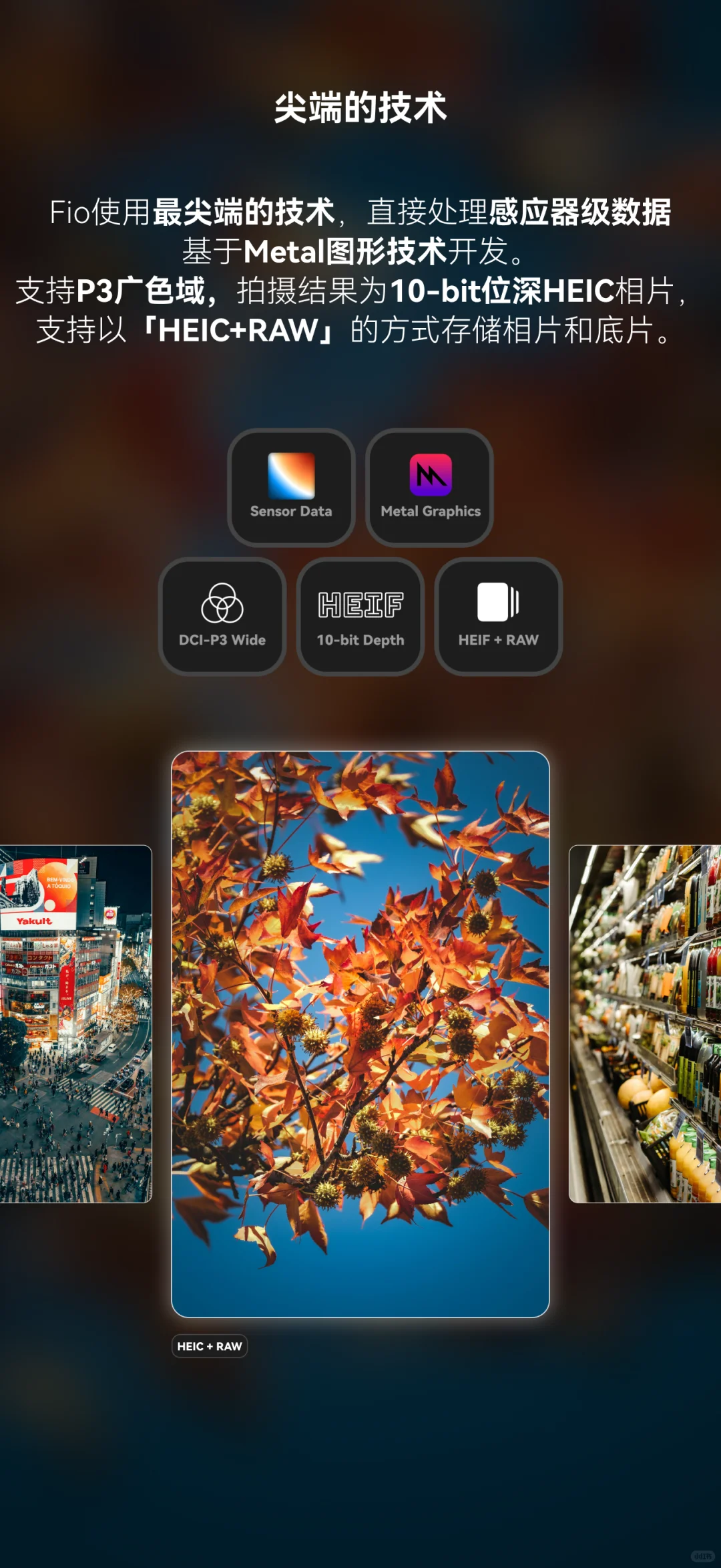 iPhone全新胶片相机App 「Fio相机」 上线！