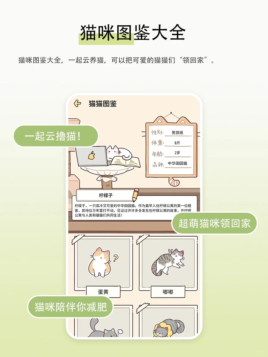 懒人也能瘦的APP，绝了