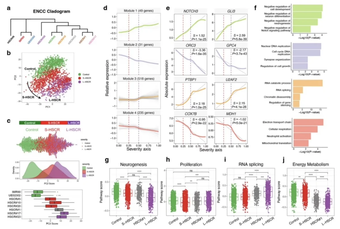 我愿称之为单细胞测序最伟大的详解
