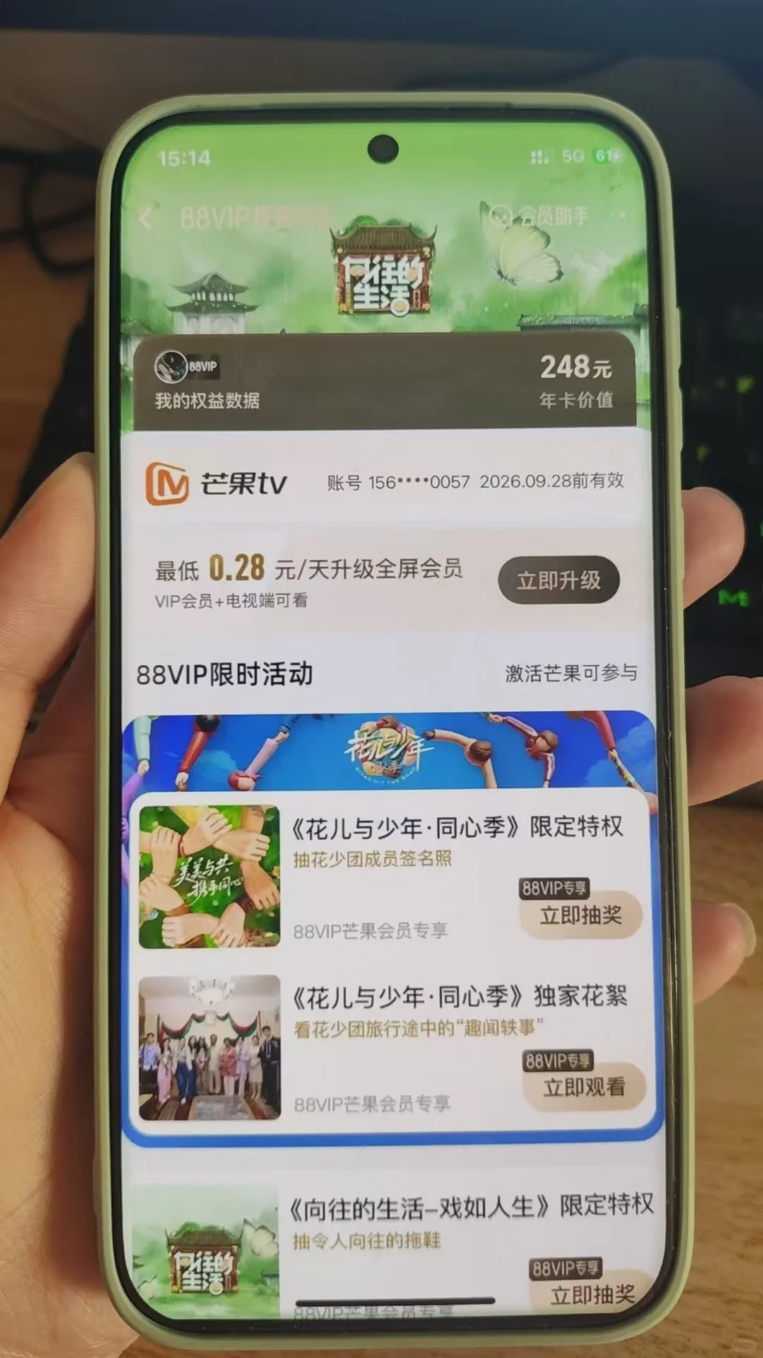 姐妹们！芒果年泥不要错过