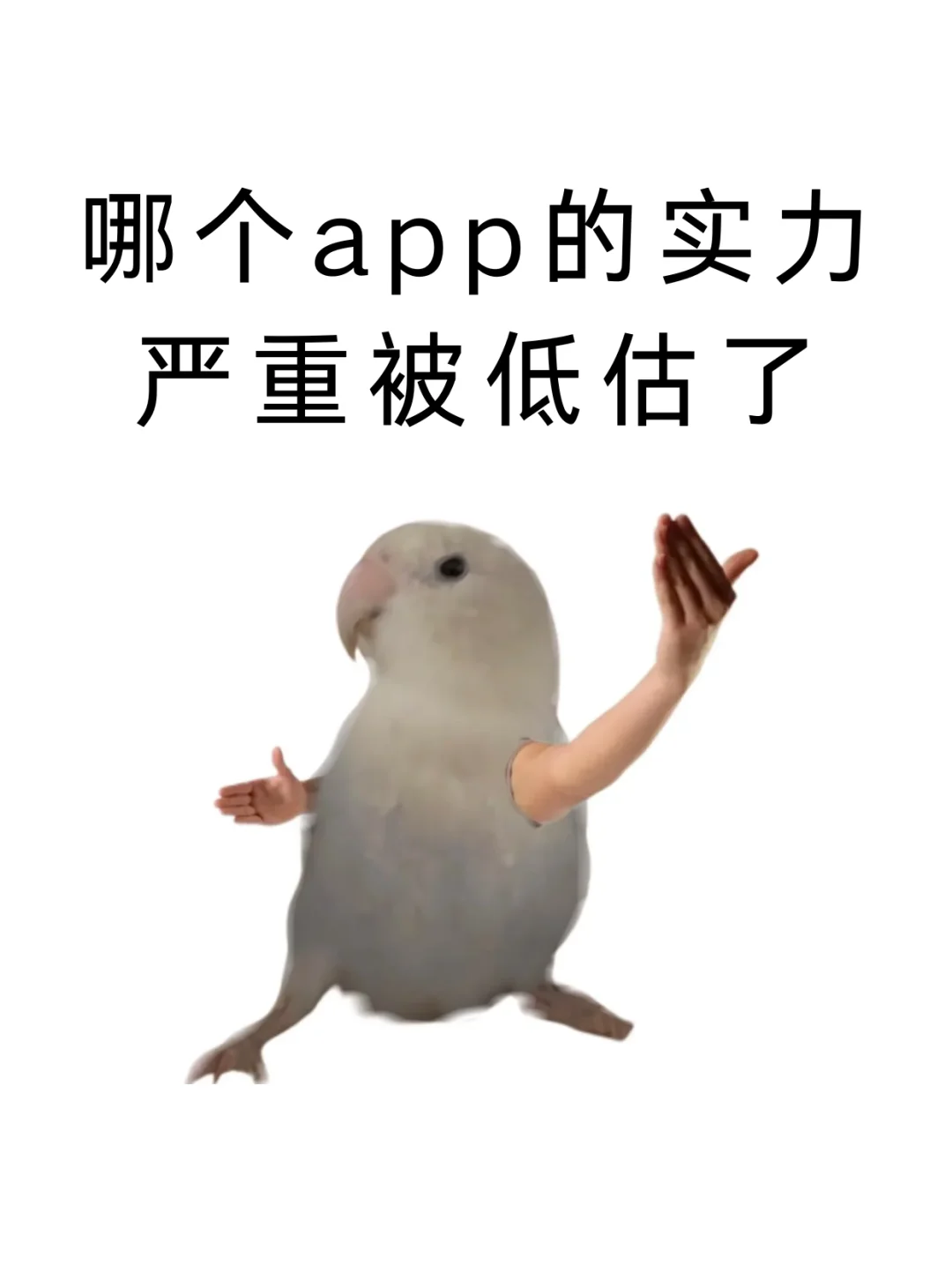 哪个app的实力严重被低估了