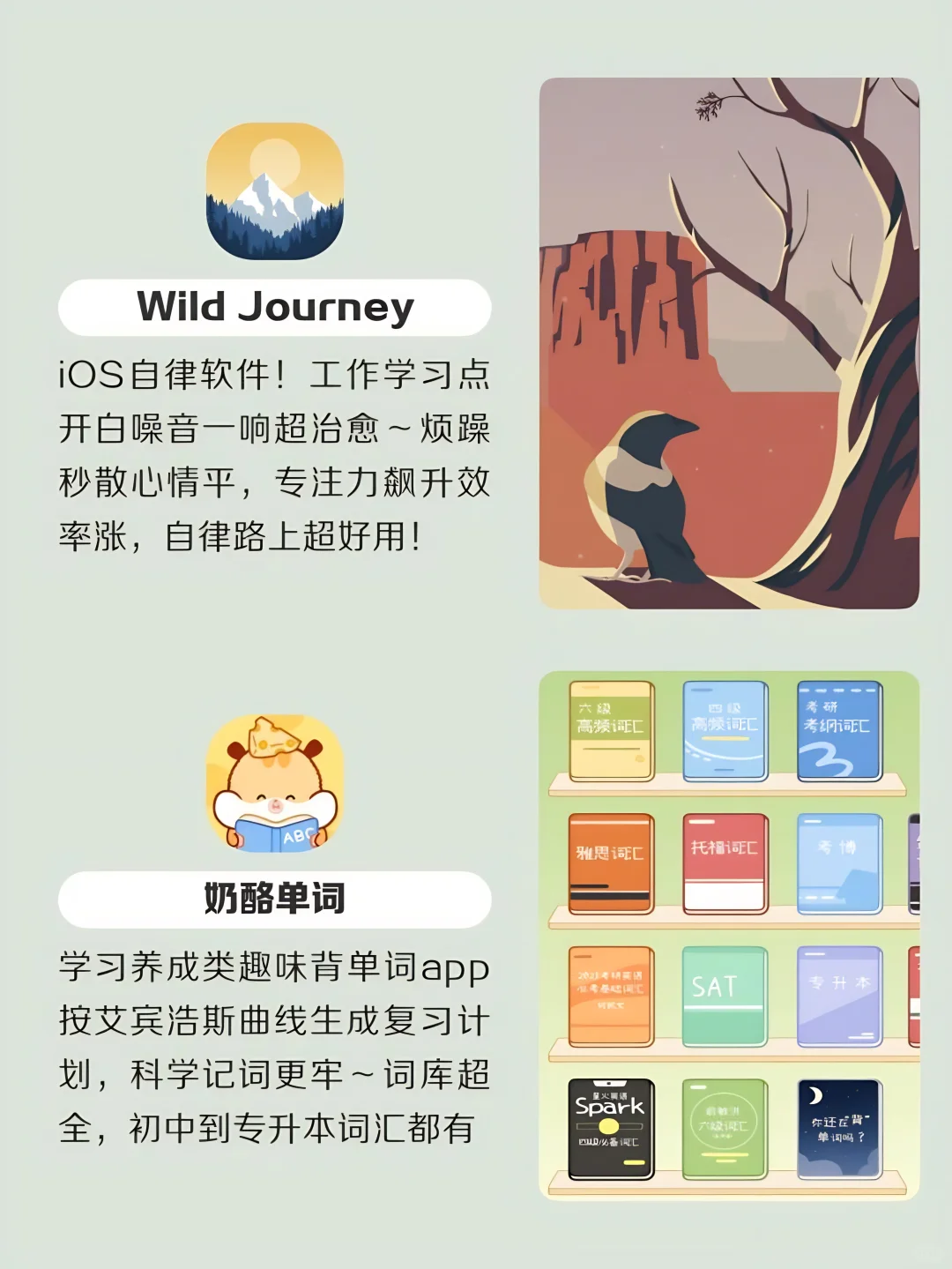 适合学生党用的12款宝藏APP！