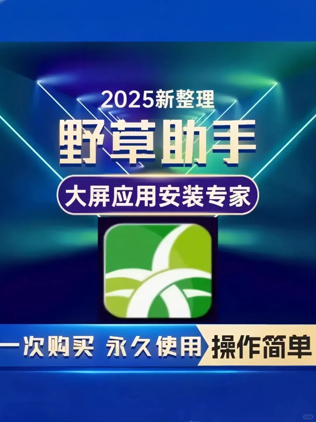 📺电视装软件更方便！野草助手口令包来了