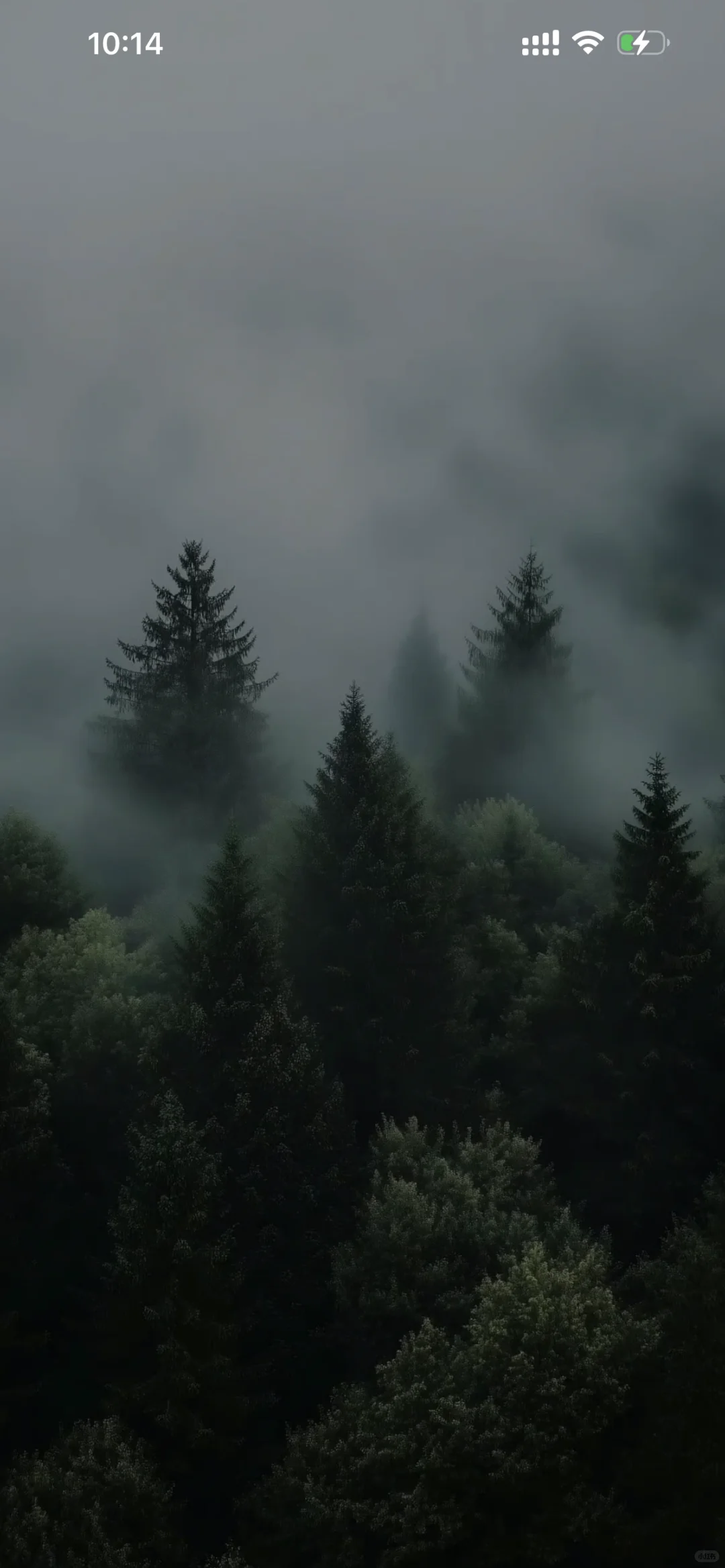 iOS26 bug 面容解锁经常卡住