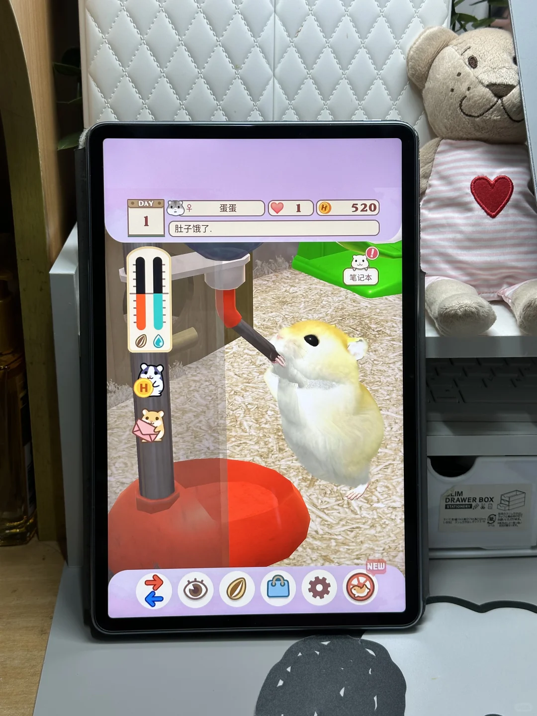 平板里养一只可爱的Annie仓鼠🐹