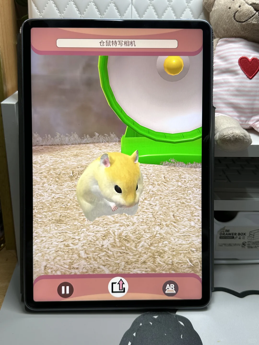 平板里养一只可爱的Annie仓鼠🐹