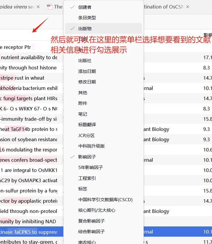 zotero7的使用小tips
