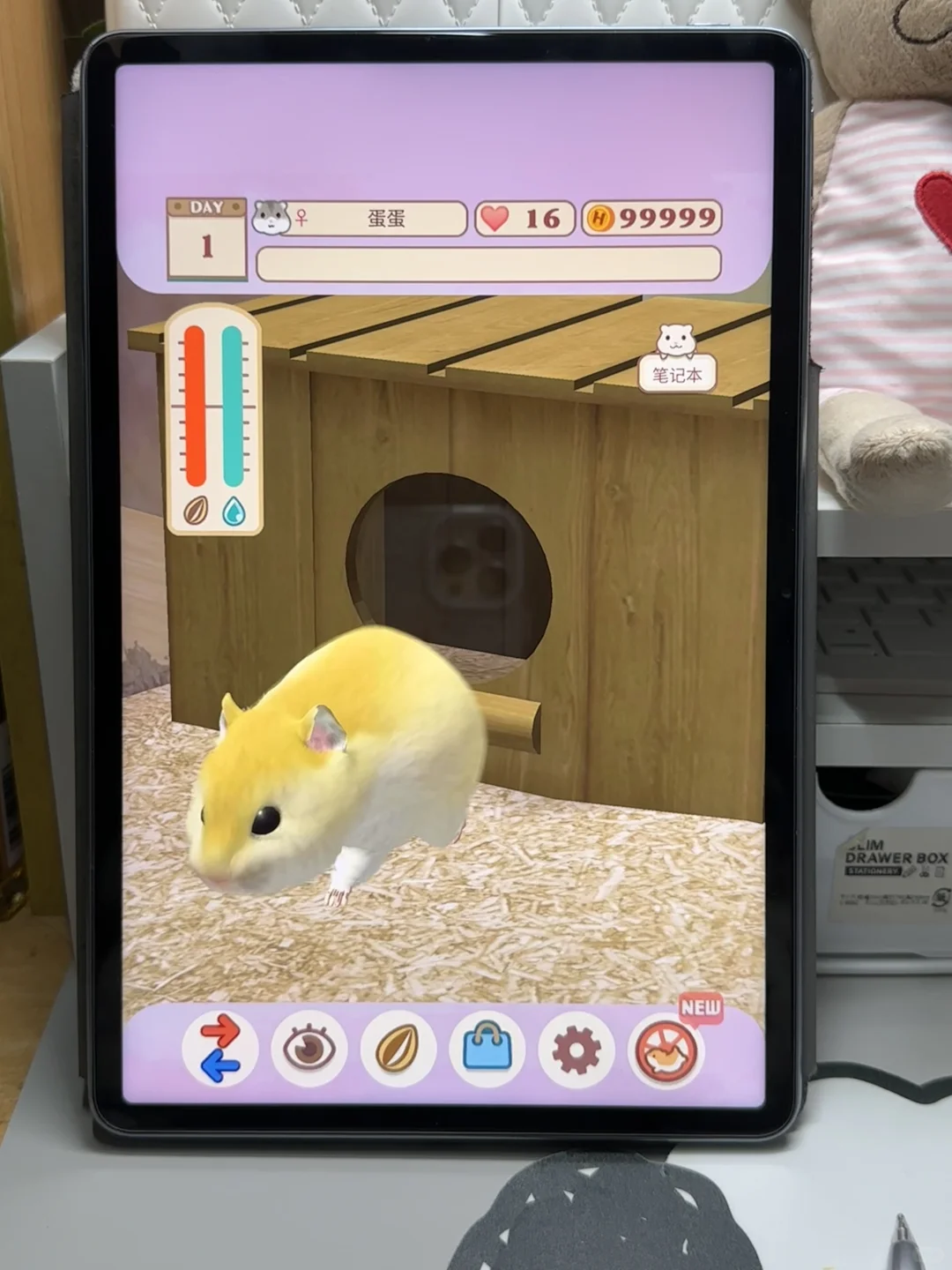 平板里养一只可爱的Annie仓鼠🐹