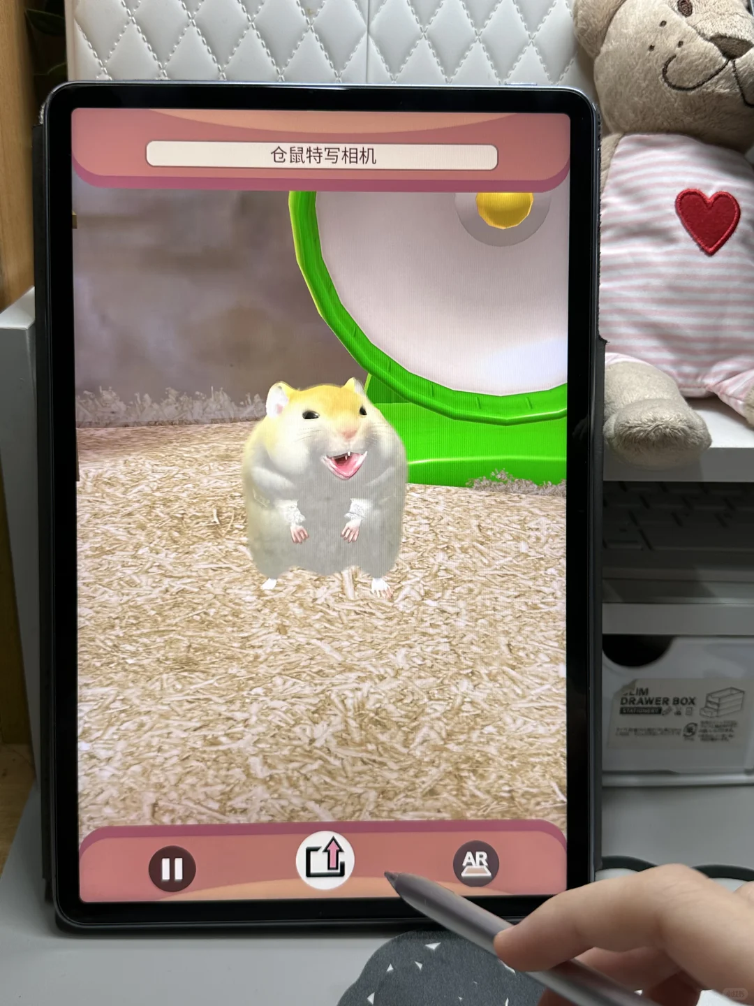 平板里养一只可爱的Annie仓鼠🐹