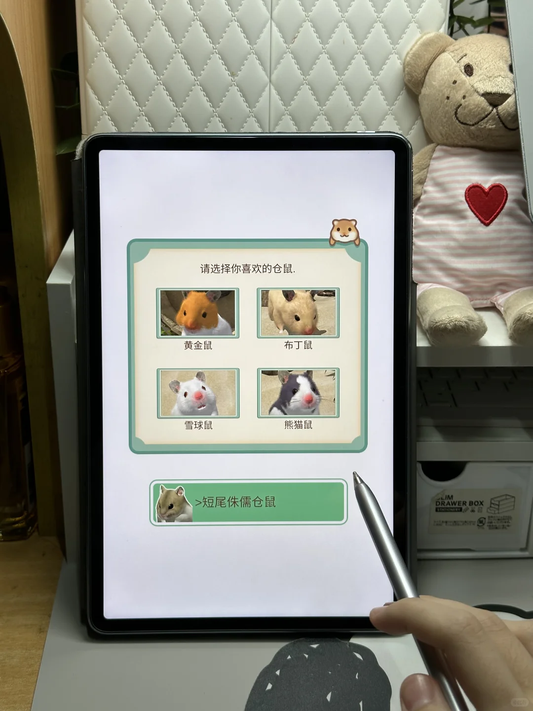 平板里养一只可爱的Annie仓鼠🐹