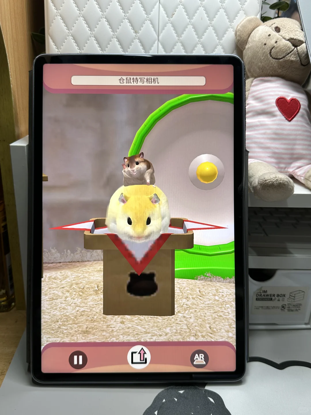 平板里养一只可爱的Annie仓鼠🐹