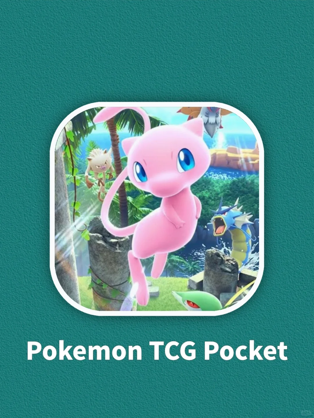 救命❗️终于玩上了宝可梦卡牌游戏！！