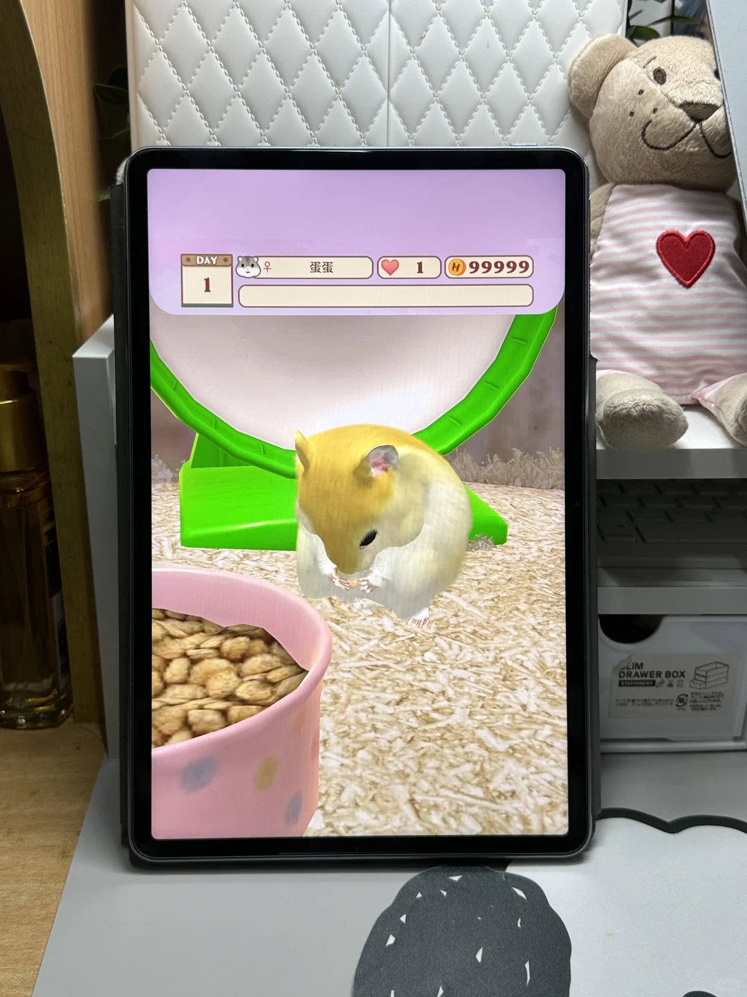 平板里养一只可爱的Annie仓鼠🐹