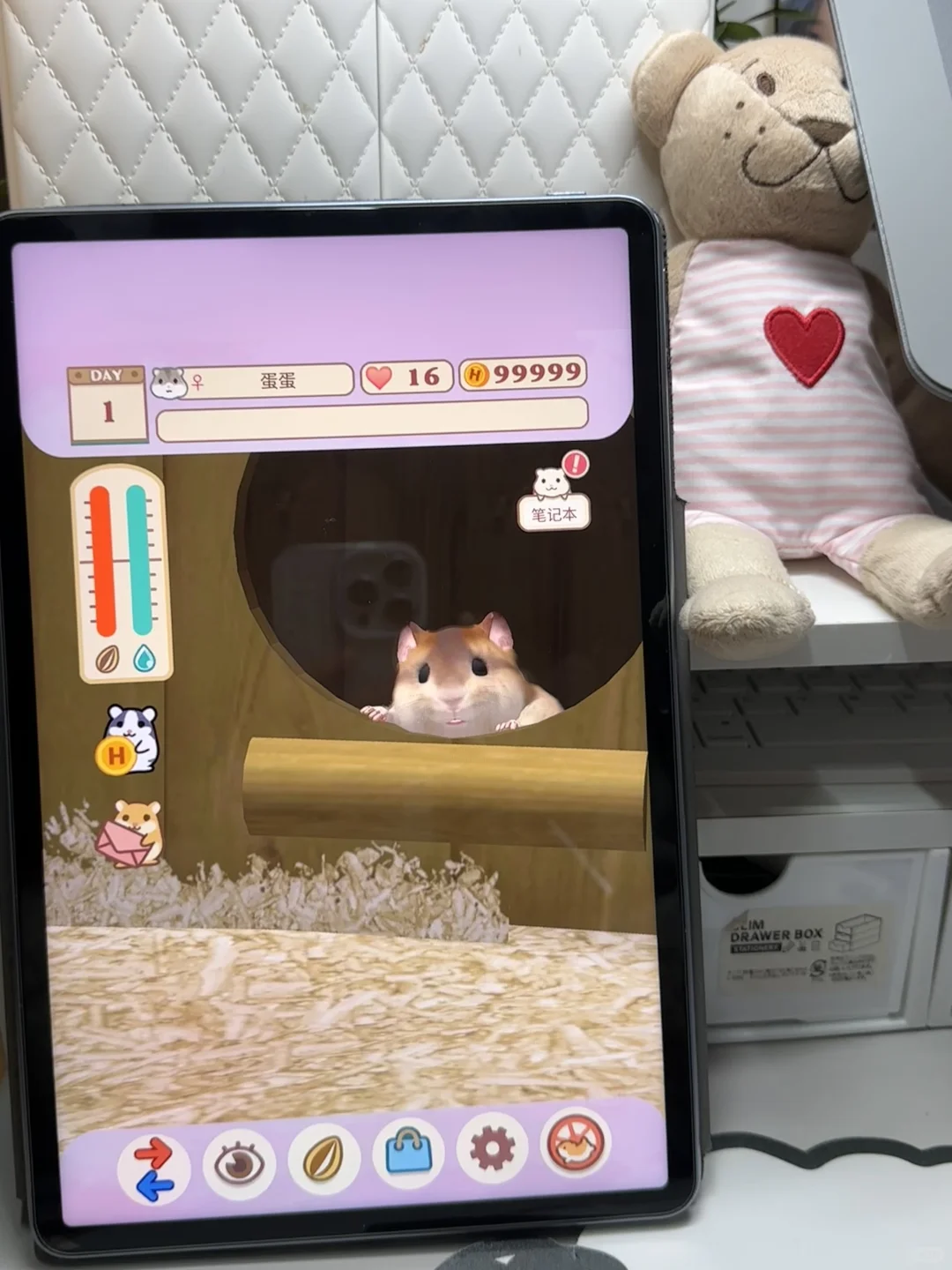 平板里养一只可爱的Annie仓鼠🐹