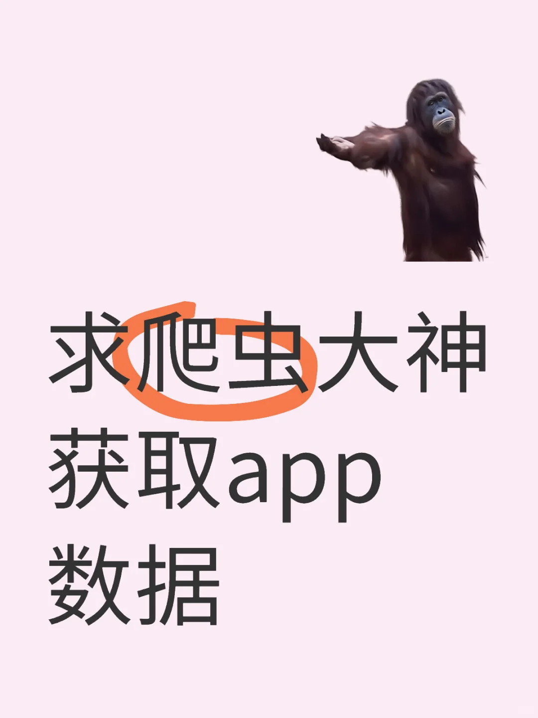 正规项目求爬虫大神