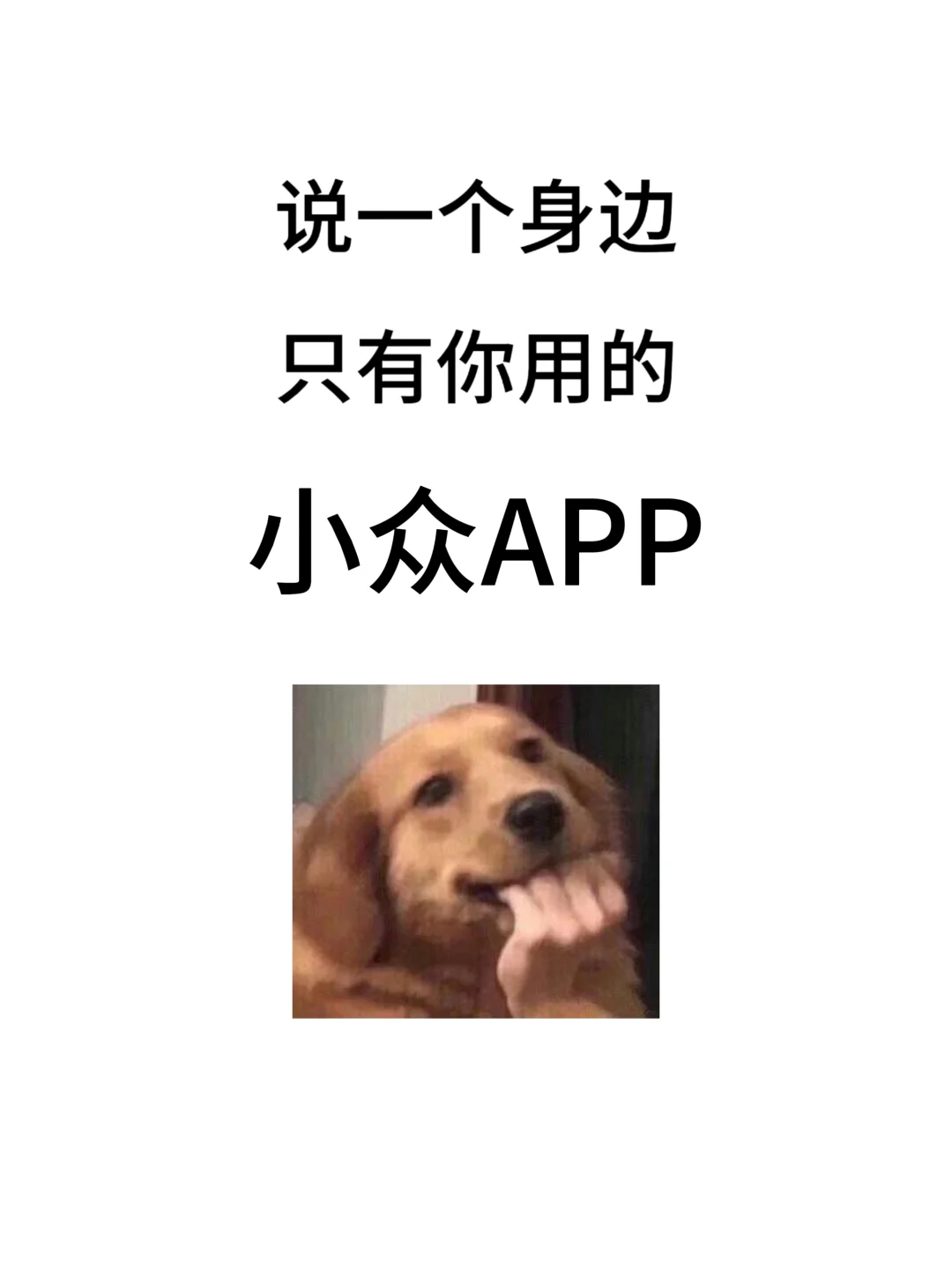 说一个身边只有你用的小众APP！