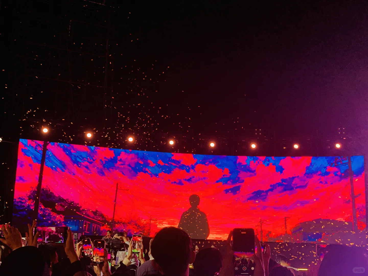 来汽水音乐节啦