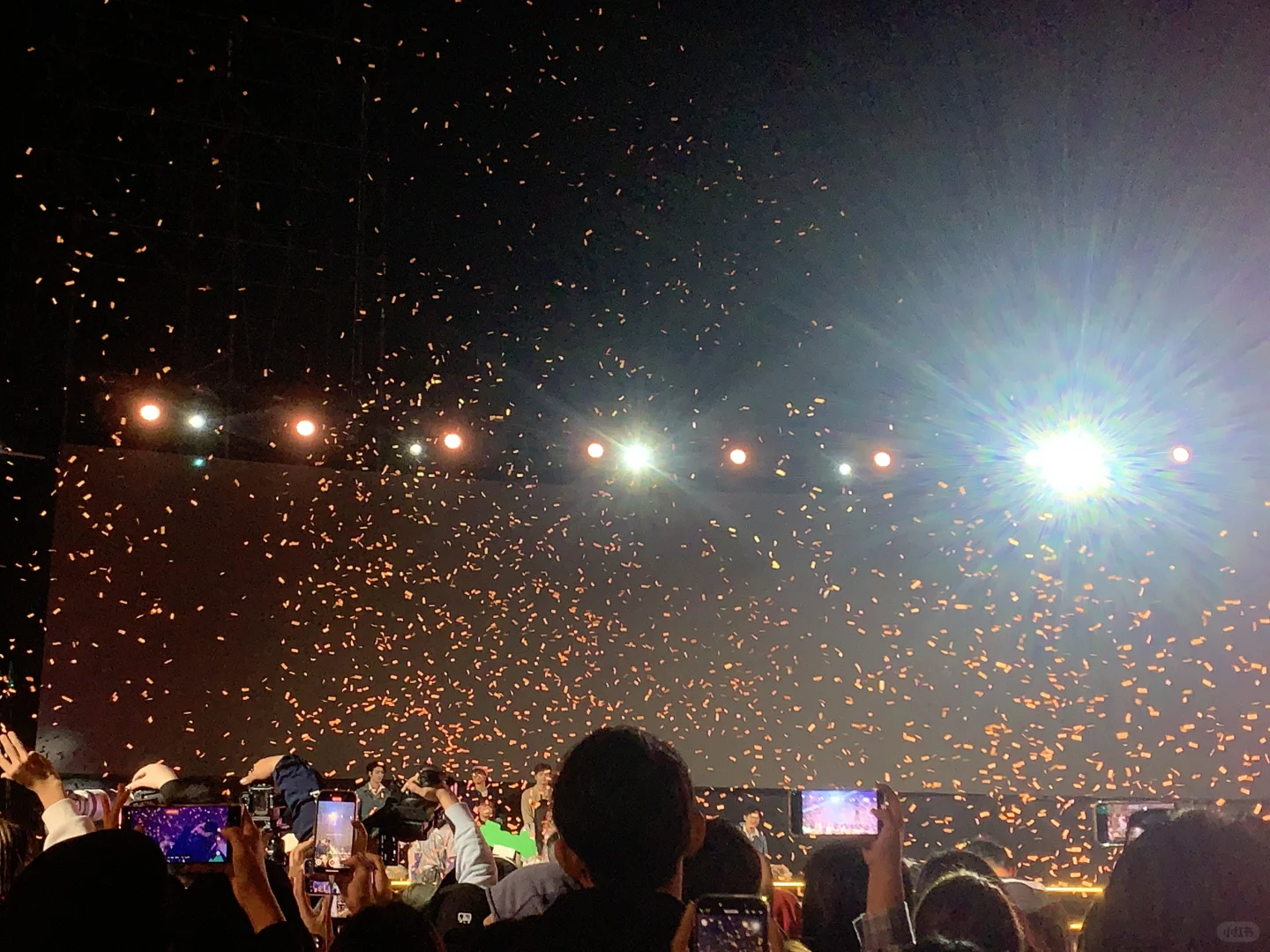 来汽水音乐节啦