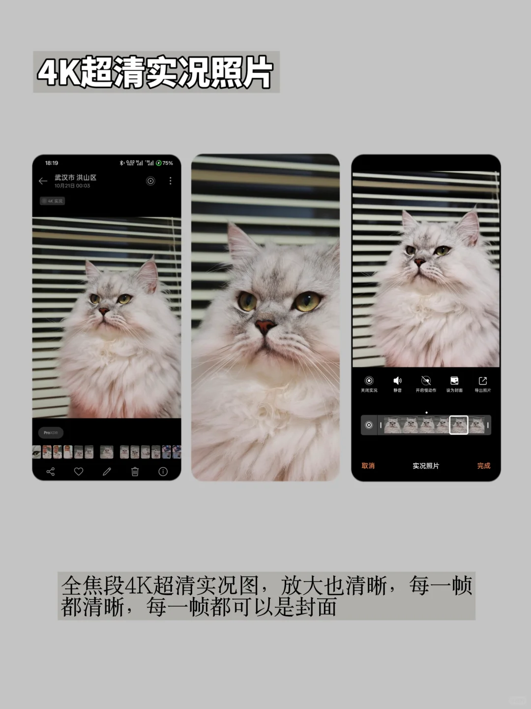 多年果粉，安卓旗舰标准版已经成这样了？