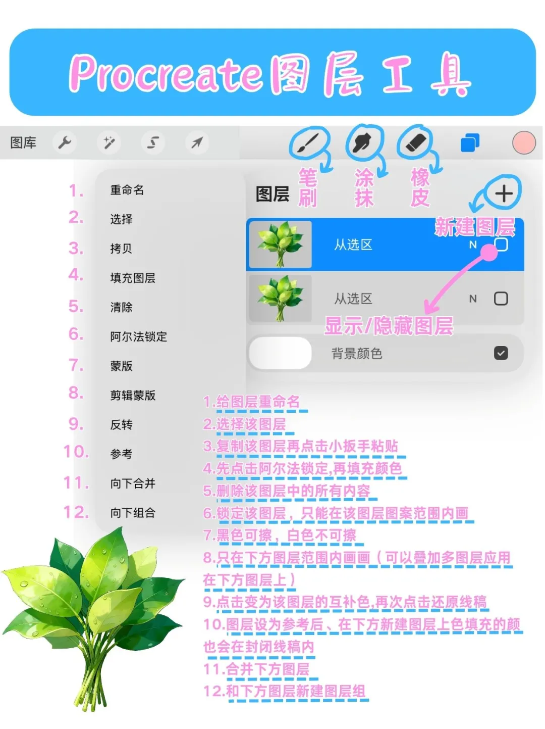 Procreate⭐软件基础操作教程！！